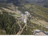 background nature forest High Tatras 0012